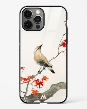 Japanese Plague bird On Maple [Ohara Koson] Glass Case Phone Cover (Apple)