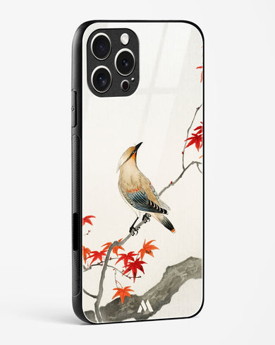 Japanese Plague bird On Maple [Ohara Koson] Glass Case Phone Cover (Apple)