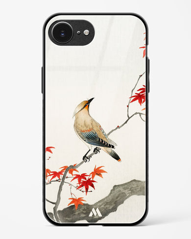 Japanese Plague bird On Maple [Ohara Koson] Glass Case Phone Cover (Apple)