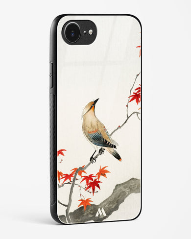 Japanese Plague bird On Maple [Ohara Koson] Glass Case Phone Cover (Apple)