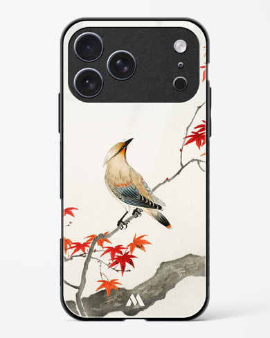 Japanese Plague bird On Maple [Ohara Koson] Glass Case Phone Cover (Apple)