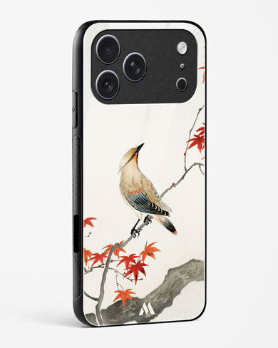 Japanese Plague bird On Maple [Ohara Koson] Glass Case Phone Cover (Apple)