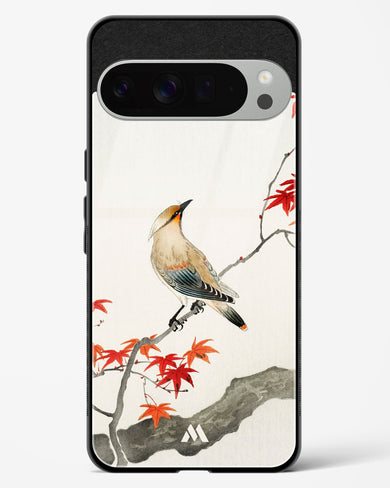 Japanese Plague bird On Maple [Ohara Koson] Glass Case Phone Cover (Google)