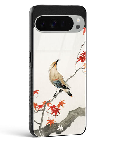 Japanese Plague bird On Maple [Ohara Koson] Glass Case Phone Cover (Google)