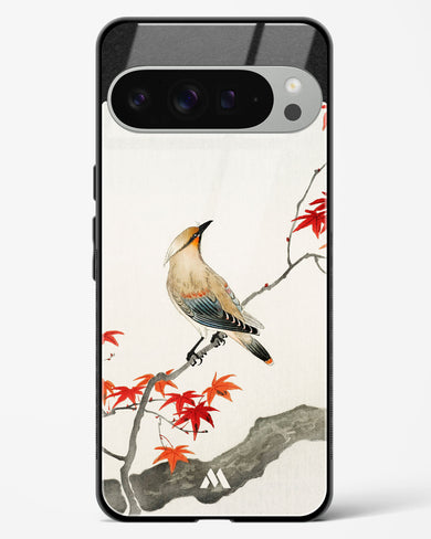 Japanese Plague bird On Maple [Ohara Koson] Glass Case Phone Cover (Google)