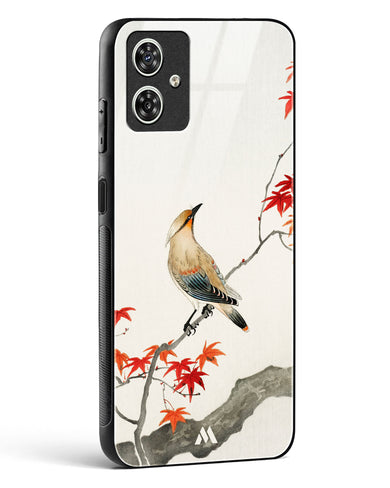 Japanese Plague bird On Maple [Ohara Koson] Glass Case Phone Cover (Motorola)