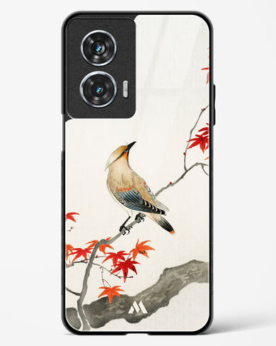 Japanese Plague bird On Maple [Ohara Koson] Glass Case Phone Cover (Motorola)