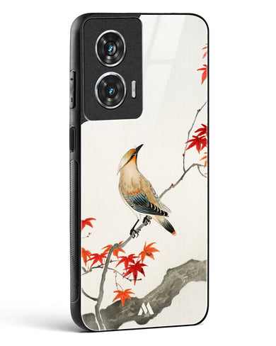 Japanese Plague bird On Maple [Ohara Koson] Glass Case Phone Cover (Motorola)