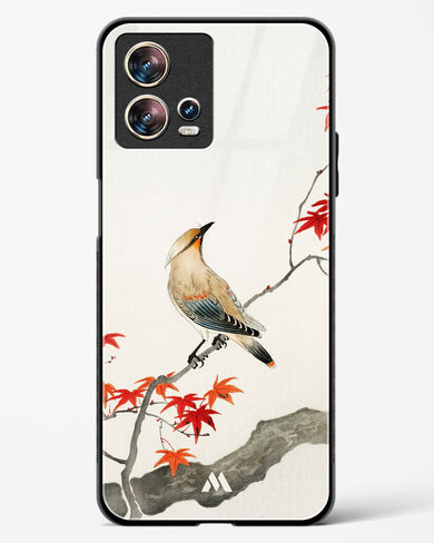 Japanese Plague bird On Maple [Ohara Koson] Glass Case Phone Cover (Motorola)