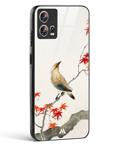 Japanese Plague bird On Maple [Ohara Koson] Glass Case Phone Cover (Motorola)