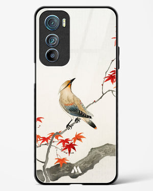 Japanese Plague bird On Maple [Ohara Koson] Glass Case Phone Cover (Motorola)