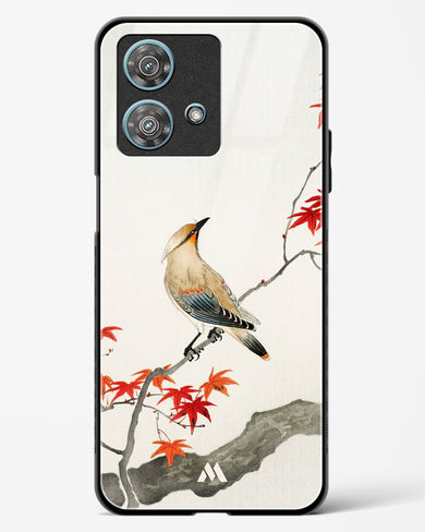 Japanese Plague bird On Maple [Ohara Koson] Glass Case Phone Cover (Motorola)