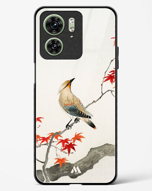 Japanese Plague bird On Maple [Ohara Koson] Glass Case Phone Cover-(Motorola)