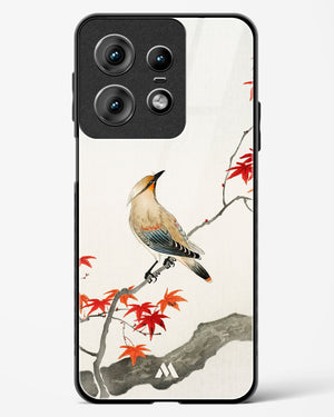 Japanese Plague bird On Maple [Ohara Koson] Glass Case Phone Cover (Motorola)