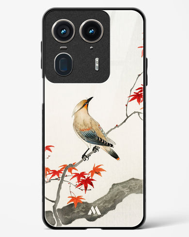 Japanese Plague bird On Maple [Ohara Koson] Glass Case Phone Cover (Motorola)