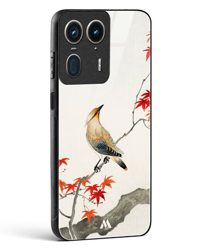 Japanese Plague bird On Maple [Ohara Koson] Glass Case Phone Cover (Motorola)