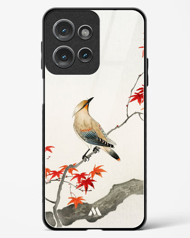 Japanese Plague bird On Maple [Ohara Koson] Glass Case Phone Cover (Motorola)