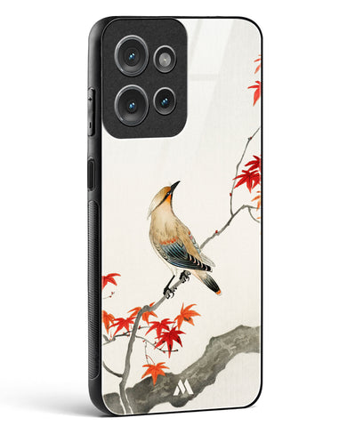 Japanese Plague bird On Maple [Ohara Koson] Glass Case Phone Cover (Motorola)