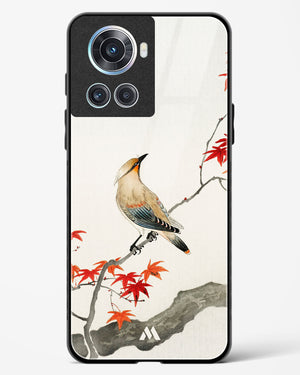 Japanese Plague bird On Maple [Ohara Koson] Glass Case Phone Cover (OnePlus)