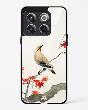 Japanese Plague bird On Maple [Ohara Koson] Glass Case Phone Cover (OnePlus)
