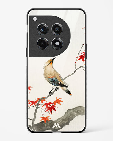 Japanese Plague bird On Maple [Ohara Koson] Glass Case Phone Cover (OnePlus)