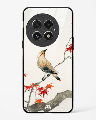 Japanese Plague bird On Maple [Ohara Koson] Glass Case Phone Cover (OnePlus)