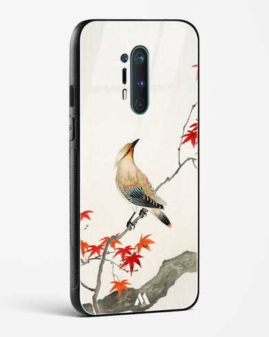 Japanese Plague bird On Maple [Ohara Koson] Glass Case Phone Cover (OnePlus)