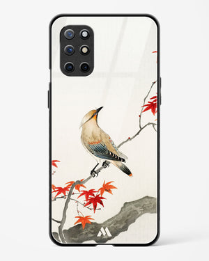 Japanese Plague bird On Maple [Ohara Koson] Glass Case Phone Cover (OnePlus)