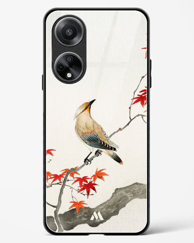 Japanese Plague bird On Maple [Ohara Koson] Glass Case Phone Cover (Oppo)