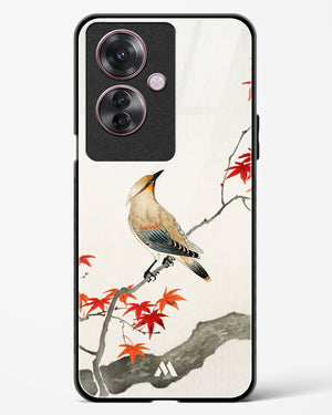 Japanese Plague bird On Maple [Ohara Koson] Glass Case Phone Cover (Oppo)
