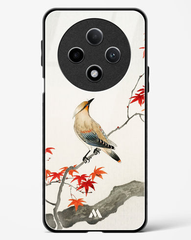 Japanese Plague bird On Maple [Ohara Koson] Glass Case Phone Cover (Oppo)