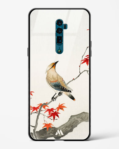 Japanese Plague bird On Maple [Ohara Koson] Glass Case Phone Cover (Oppo)