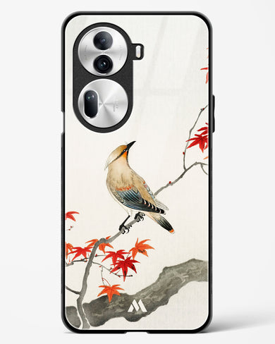 Japanese Plague bird On Maple [Ohara Koson] Glass Case Phone Cover (Oppo)