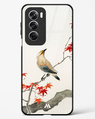 Japanese Plague bird On Maple [Ohara Koson] Glass Case Phone Cover (Oppo)