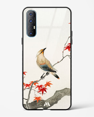 Japanese Plague bird On Maple [Ohara Koson] Glass Case Phone Cover (Oppo)