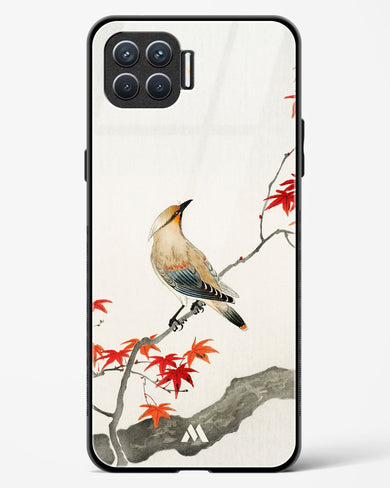 Japanese Plague bird On Maple [Ohara Koson] Glass Case Phone Cover (Oppo)