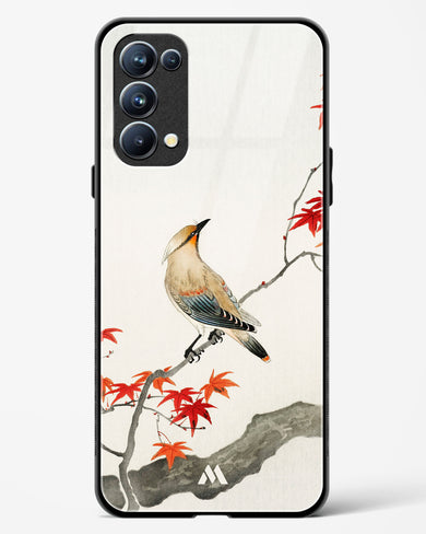 Japanese Plague bird On Maple [Ohara Koson] Glass Case Phone Cover (Oppo)