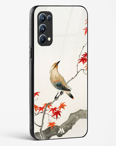 Japanese Plague bird On Maple [Ohara Koson] Glass Case Phone Cover-(Oppo)