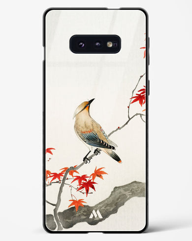 Japanese Plague bird On Maple [Ohara Koson] Glass Case Phone Cover (Samsung)