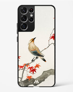 Japanese Plague bird On Maple [Ohara Koson] Glass Case Phone Cover-(Samsung)