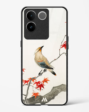 Japanese Plague bird On Maple [Ohara Koson] Glass Case Phone Cover (Vivo)