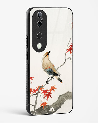 Japanese Plague bird On Maple [Ohara Koson] Glass Case Phone Cover (Vivo)