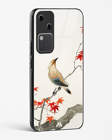 Japanese Plague bird On Maple [Ohara Koson] Glass Case Phone Cover (Vivo)