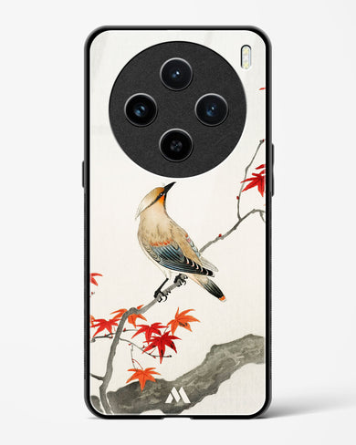 Japanese Plague bird On Maple [Ohara Koson] Glass Case Phone Cover (Vivo)