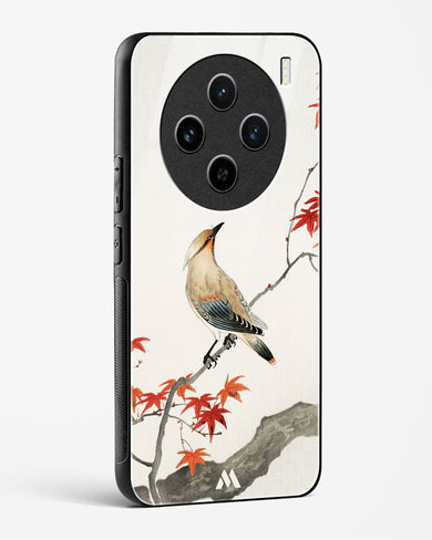 Japanese Plague bird On Maple [Ohara Koson] Glass Case Phone Cover (Vivo)