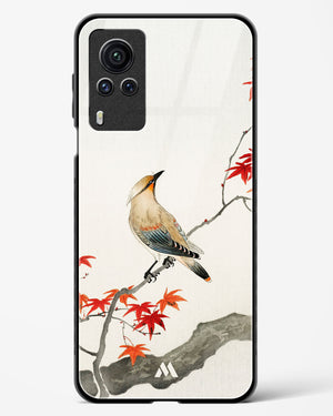 Japanese Plague bird On Maple [Ohara Koson] Glass Case Phone Cover (Vivo)