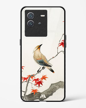 Japanese Plague bird On Maple [Ohara Koson] Glass Case Phone Cover-(Vivo)