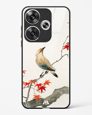 Japanese Plague bird On Maple [Ohara Koson] Glass Case Phone Cover (Xiaomi)
