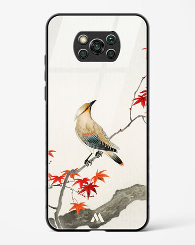 Japanese Plague bird On Maple [Ohara Koson] Glass Case Phone Cover (Xiaomi)