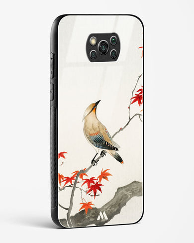 Japanese Plague bird On Maple [Ohara Koson] Glass Case Phone Cover-(Xiaomi)